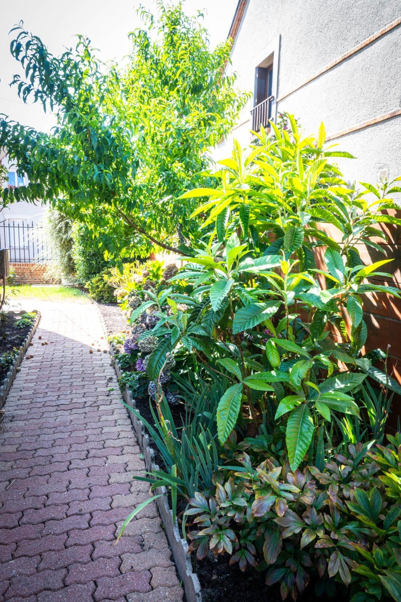 "Le 35" Maison Renovee Avec Jardin Proche Centre Lamotte-Beuvron Esterno foto